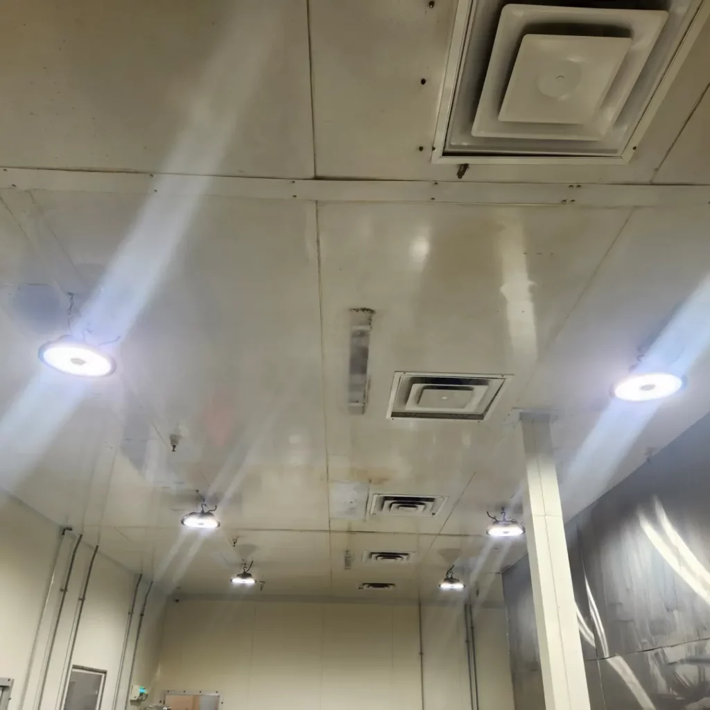 New LED fixtures on an industrial ceiling after relamping